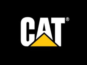 logo cat